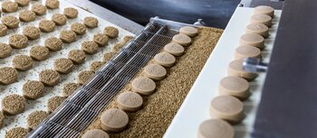 Proceso de elaboración de los