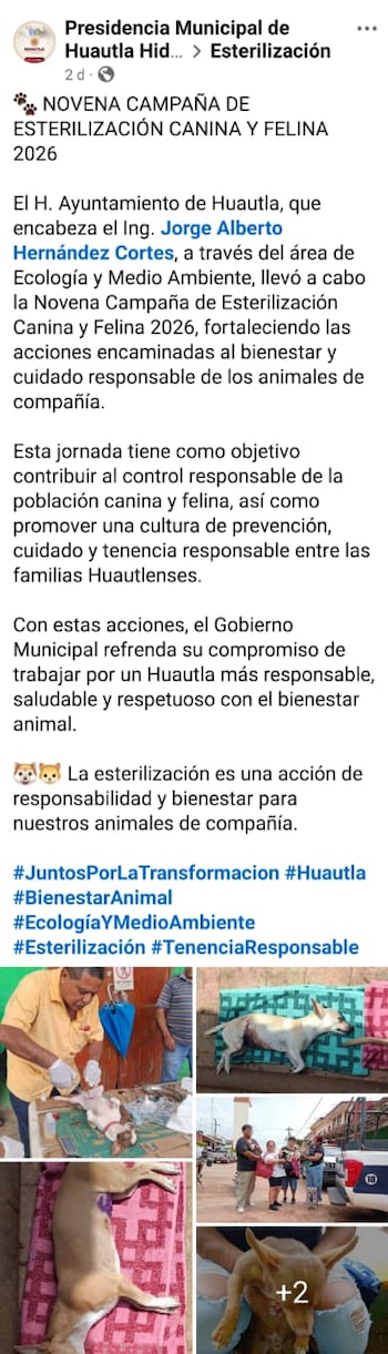 Huautla Suspensión jornadas de esterilización denuncias Hidalgo