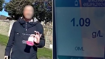 Un conductor fue detenido en la autopista Buenos Aires-La Plata, dio alcoholemia positiva y lanzó una insólita excusa
