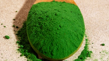 Spirulina