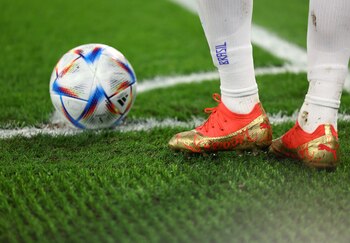 Paspalum vaginatum es el nombre