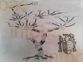 El árbol genealógico de los