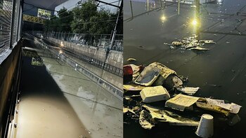 El Director General del STC