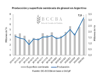 Evolución de la producción de girasol en la Argentina