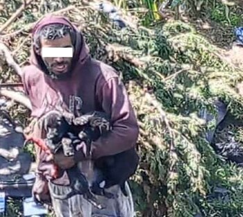 Momento en que Jesús German