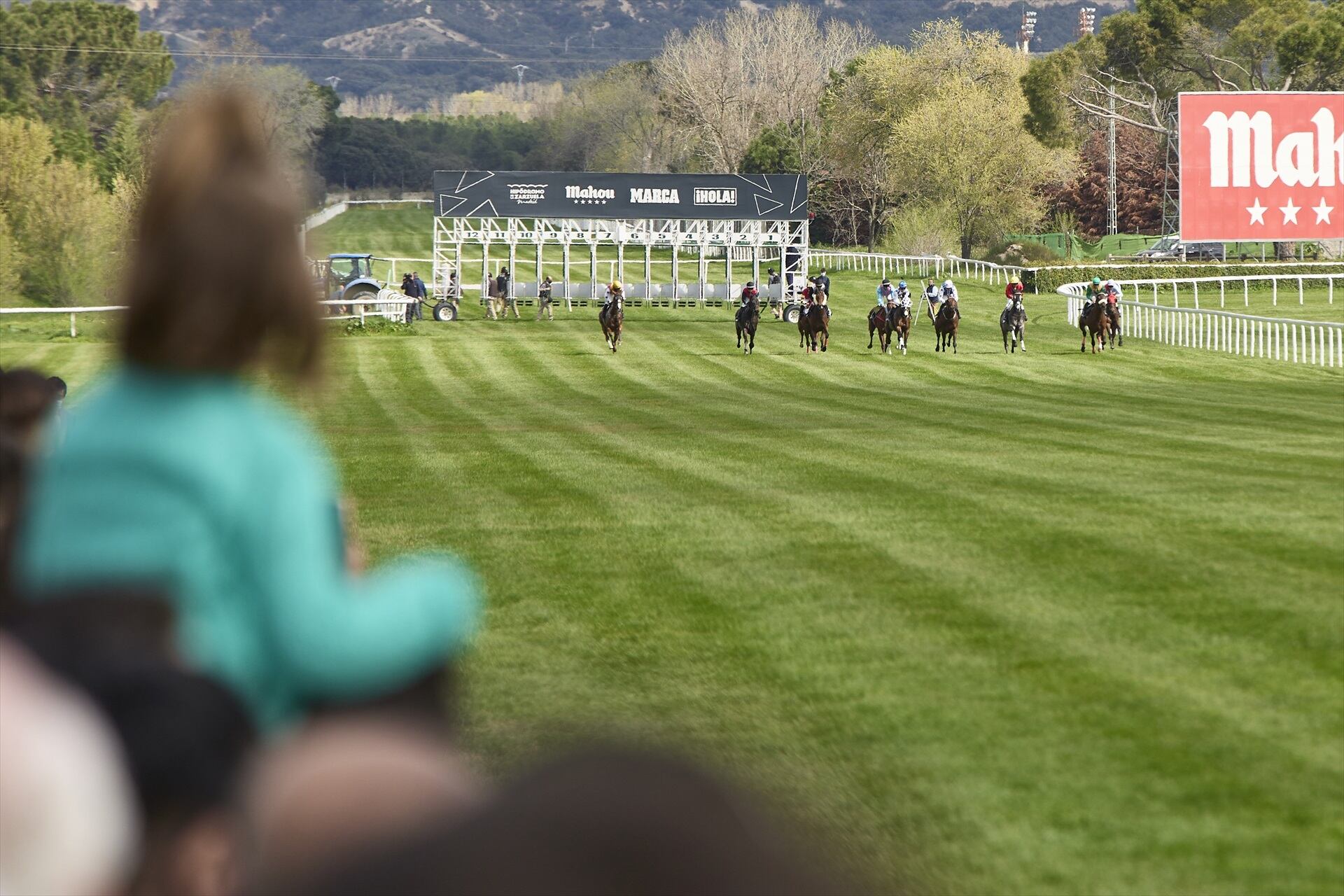 Una carrera del Hipódromo de la Zarzuela (Jesús Hellín / Europa Press)