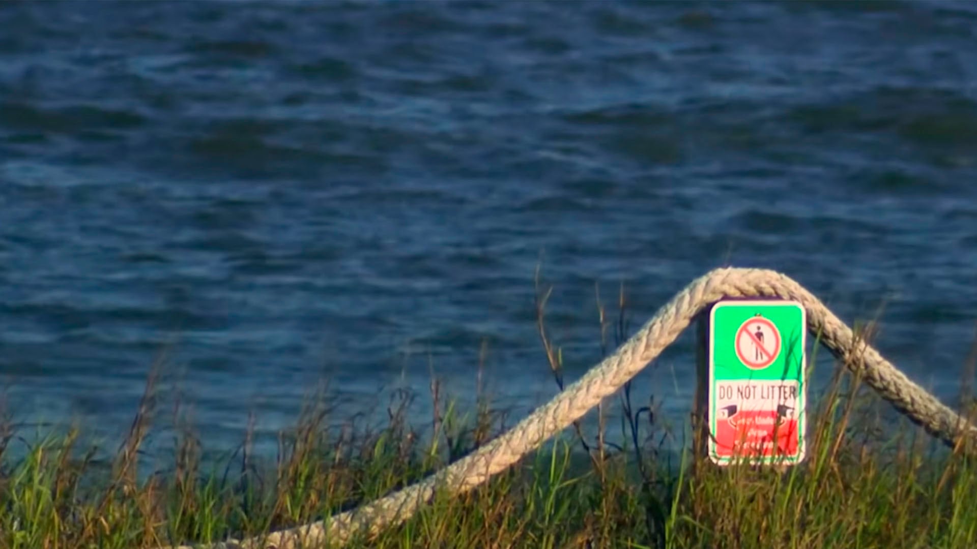 Un adolescente de 17 años fue hospitalizado tras un ataque de tiburón en alta mar en Galveston, Texas, durante un intento por subir al animal a una embarcación