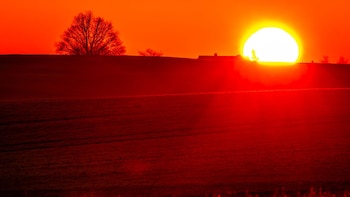 Cuatro décadas de datos brindan