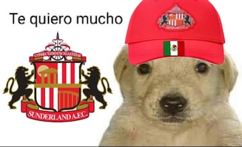 Con memes y mensajes en