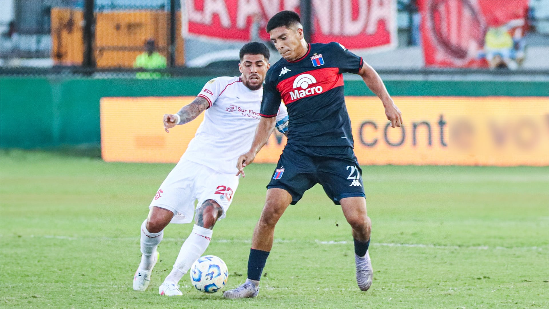 Crédito: X @catigreoficial