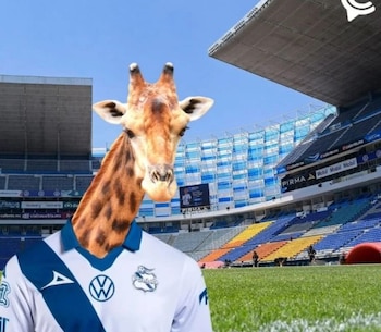 La creatividad de los internautas