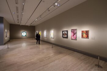 Imagen 54HNC7USDZE2FN33CYPGNI3POM