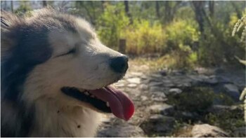 En redes sociales captó la