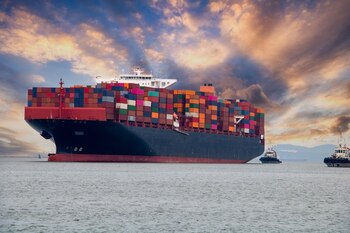 Los cargadores están tratando de