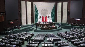 (Foto: Cortesía Cámara de Diputados)