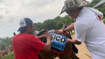 Animalistas indignados por presunto maltrato