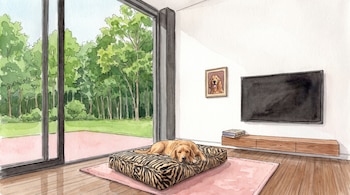 Acuarela de un perro acostado en una cama para mascotas junto a un gran ventanal, un televisor de pantalla plana y un cuadro.