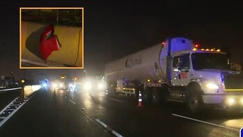 Reportan la presencia de un