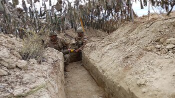 Las Fuerzas Armadas colaborarán con