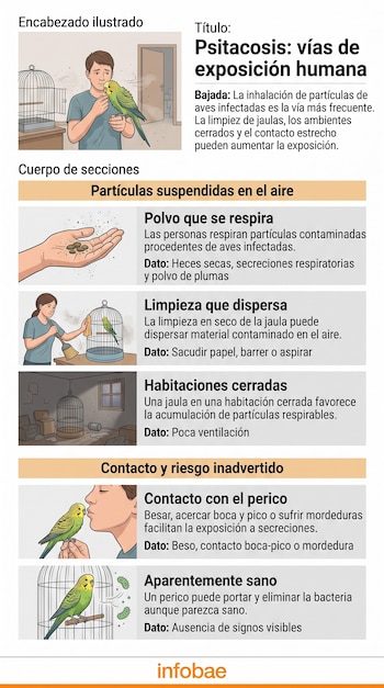 Infografía con ilustraciones de una persona con un perico, manos con tierra, la limpieza de una jaula y dibujos de bacterias.