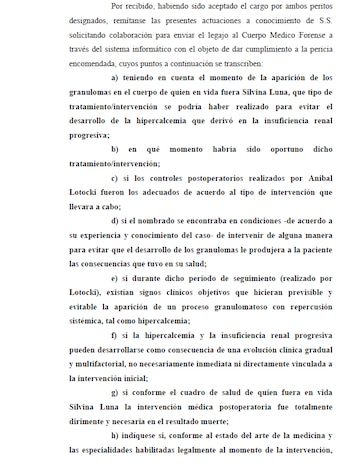 Los especialistas deberán responder una serie de interrogantes técnicos ordenados por la Justicia