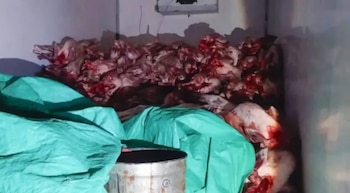 Las acciones tuvieron lugar en