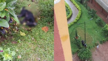 Indignación por muerte de un