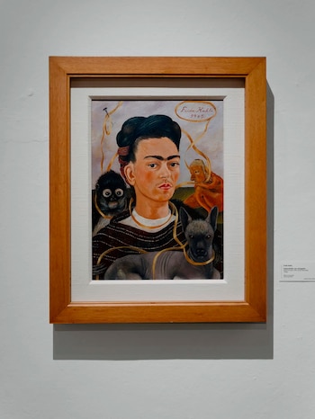 Emergen obras de Frida Kahlo en el restaurado Museo Dolores Olmedo de México