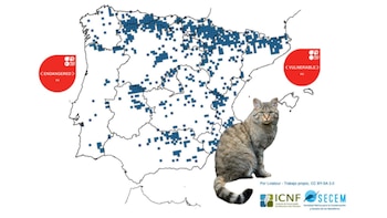 Distribución del gato montés en España y Portugal. (Lviatour/SECEM)