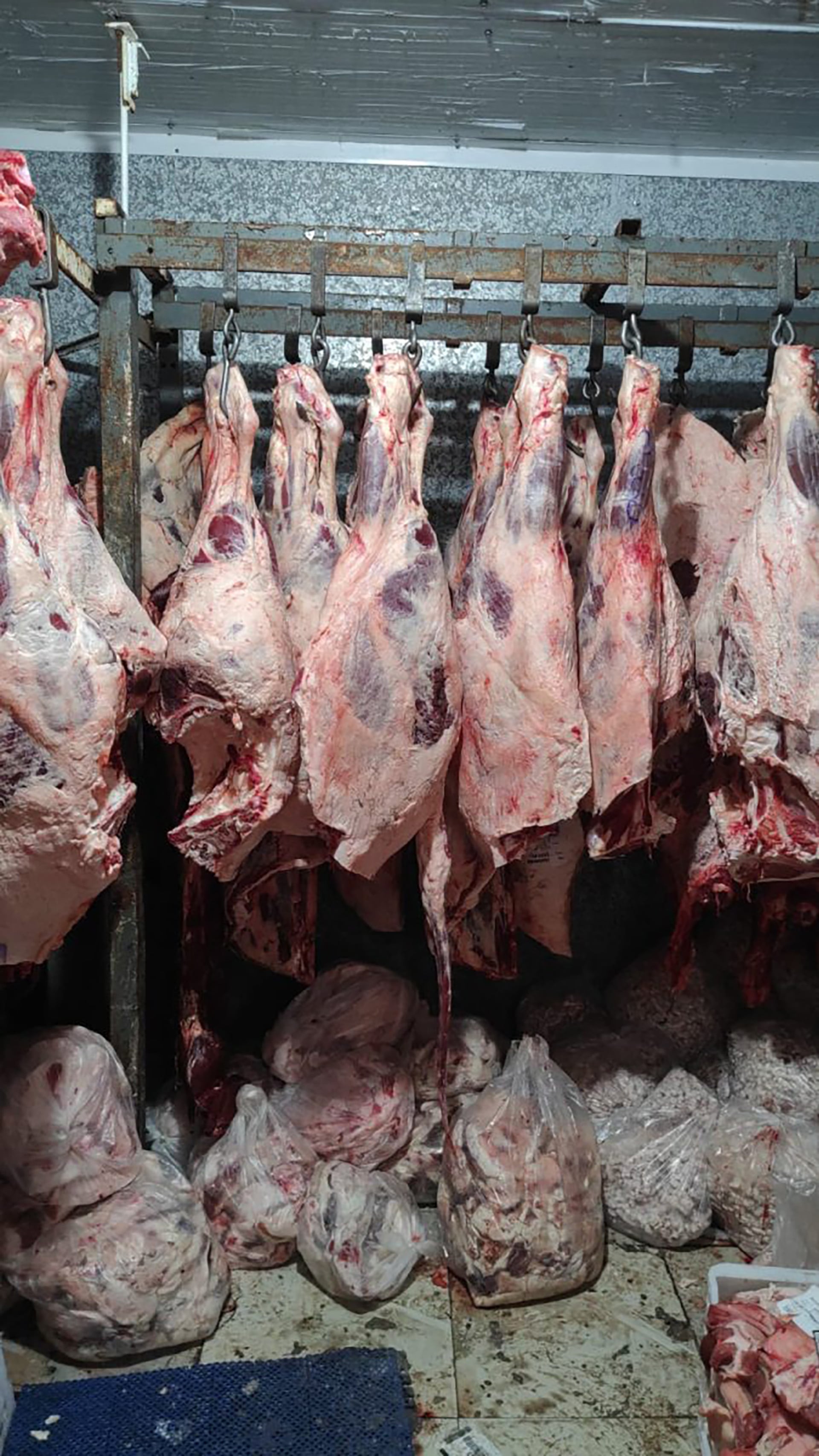Las más de dos toneladas de carne vacuna y porcina incautadas estaban almacenadas en tres cámaras frigoríficas
