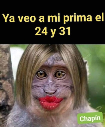 Memes para enviar en año