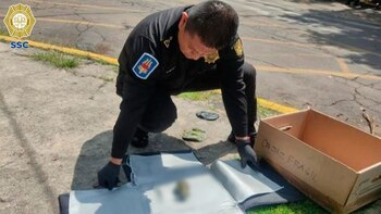 ersonal especializado de la SSC