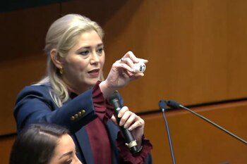 El Senado sorteó las vacantes del PJF que serán elegidas en 2025. (Captura de pantalla)