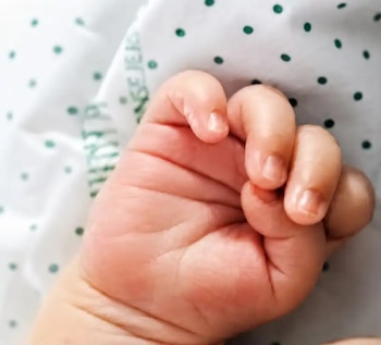A mãe dos filhos de Lola Orellana
