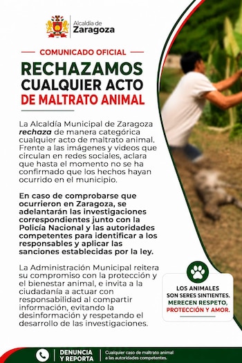 La Alcaldía de Zaragoza rechazó de manera categórica cualquier acto de maltrato animal - crédito Alcaldía Zaragoza