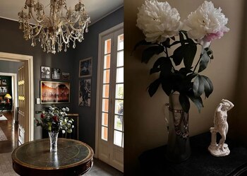 La paleta de colores elegida