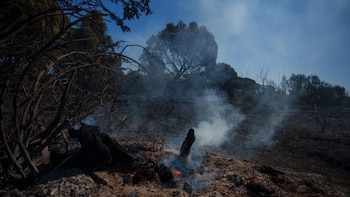 Medios aéreos se suman a las labores de extinción del incendio de Lucena al reactivarse pequeños focos