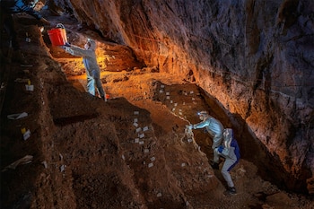 Devlin A. Gandy/Revista Nature/EFE