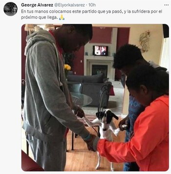 Los mejores memes que dejó la victoria del Deportivo Cali ante Unión Magdalena por la 14 ava jornada de la Liga BetPlay.