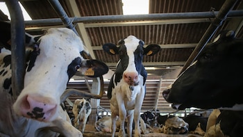 COAG pide "transparencia" en los