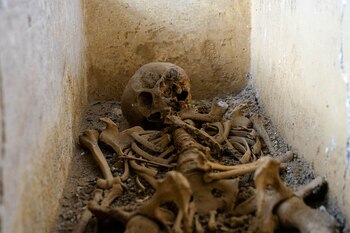 Crédito: Ministerio de la cultura