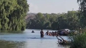 Sorpresa en el río Neuquén: