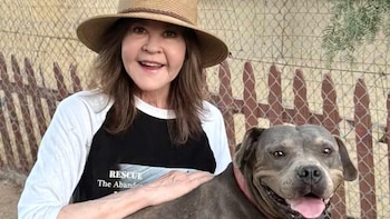 “Había sangre por todas partes”: Linda Blair enfrenta una demanda civil por los ataques de sus perros