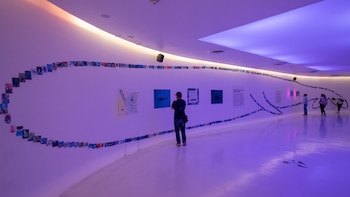 Las ballenas llevan su caso a los tribunales: el arte que sirve como prueba para protegerlas en México