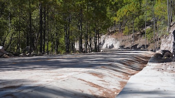 Un proyecto que promete ayudar