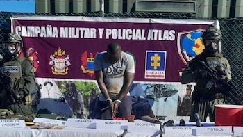 Avalan la extradición de alias