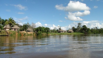 Casas de madera con techos de paja en la orilla de un río, rodeadas de árboles y palmeras bajo un cielo azul con nubes
