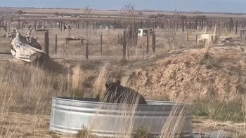 El tanque de agua ofrece