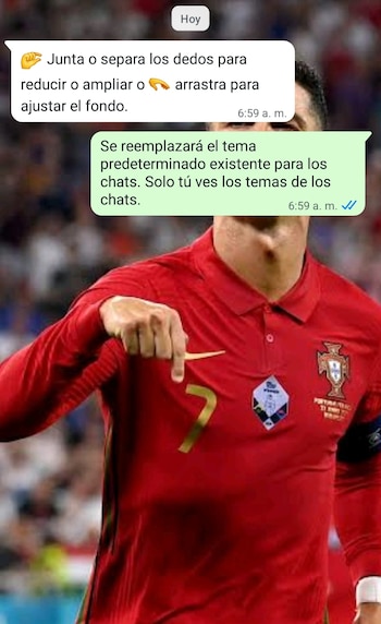 Se debe elegir una imagen en buena resolución para colocarla como fondo de chat. (Foto: WhatsApp)