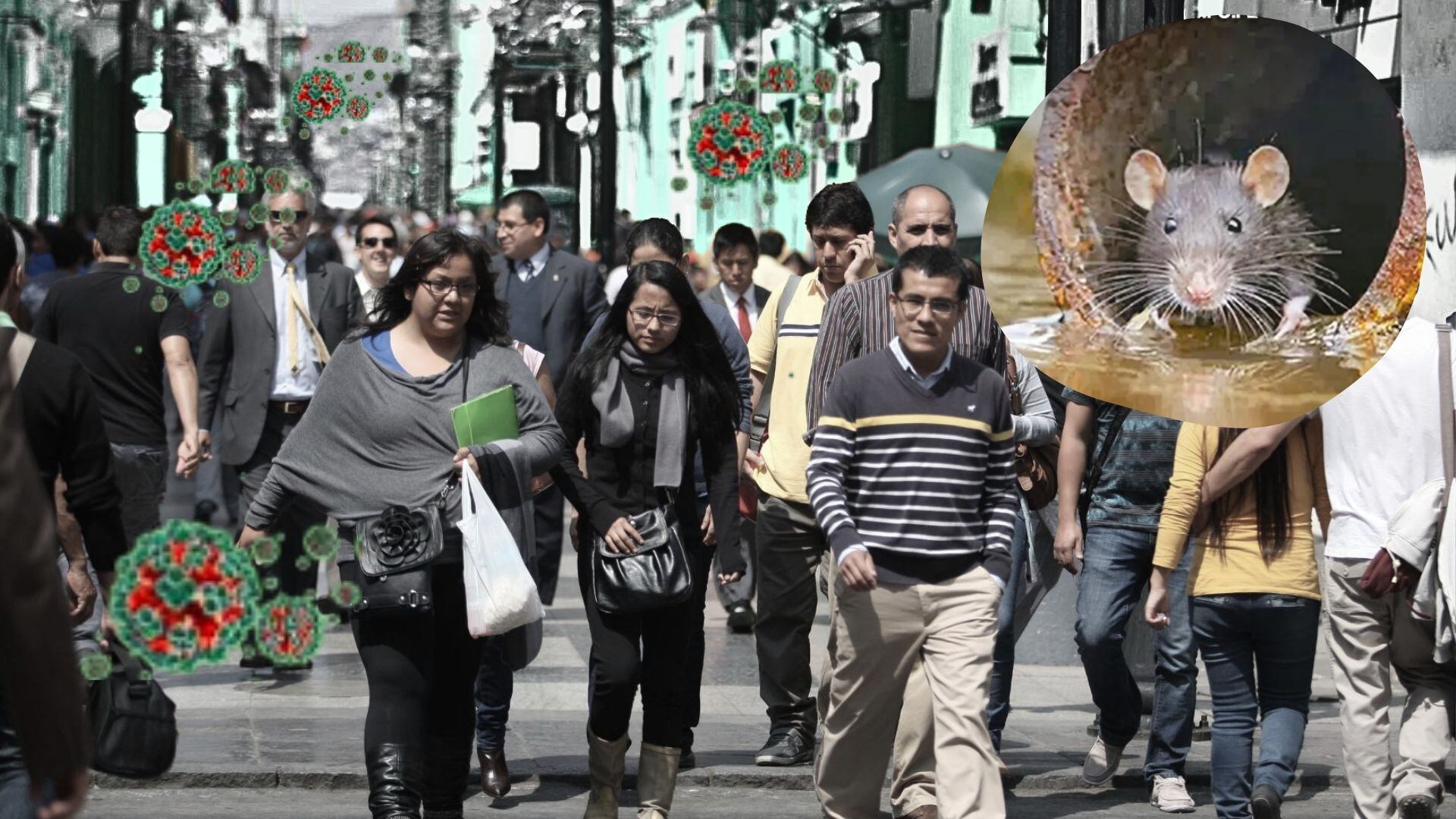 La amenaza del hantavirus resurge en Perú, con la preocupación de su posible letalidad, mientras la población transita por las calles bajo la sombra de la enfermedad. (Infobae Perú)